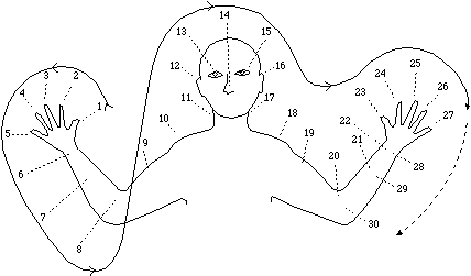 The Oksapmin counting system